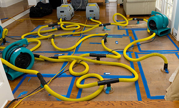 Professional Crawl Space Water Removal technician working in Bethel, NC